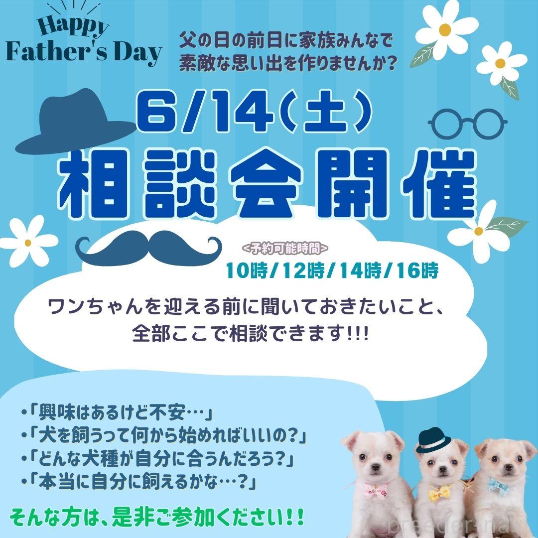杉山晴菜ブリーダー